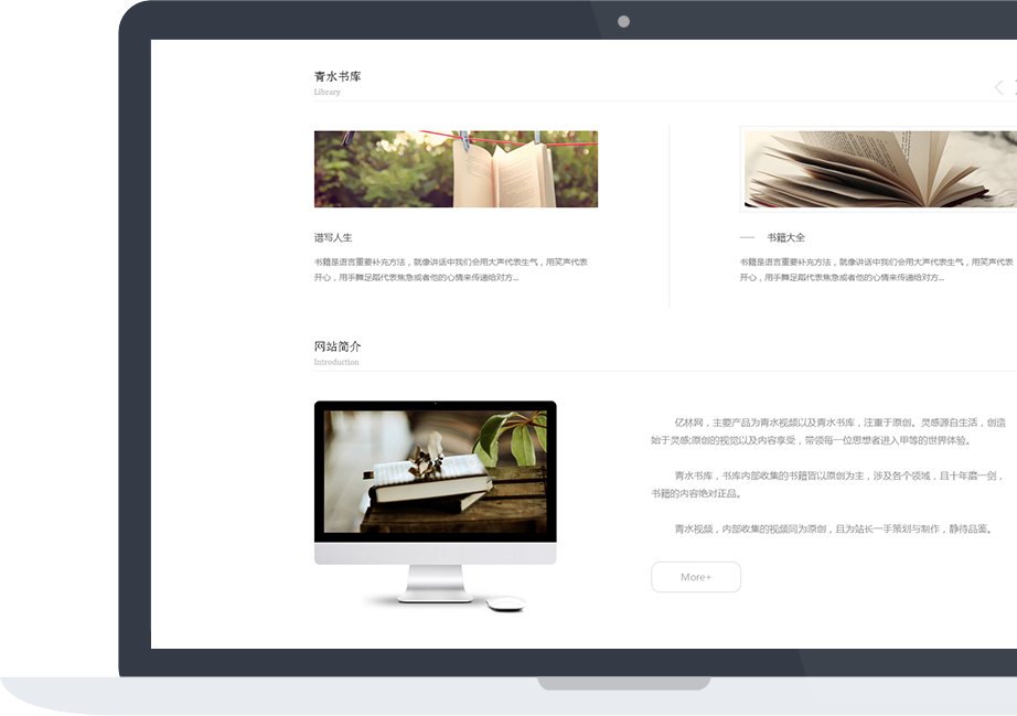 网站建设案例效果图